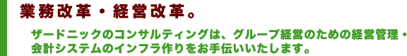 Zaadnic LTD. -業務改革・経営改革- 業務改革・経営改革。ザードニックのコンサルティングは、グループ経営のための経営管理・会計システムのインフラ作りをお手伝いいたします。